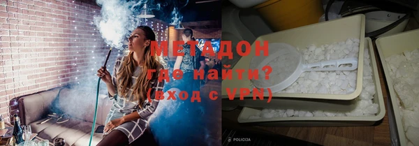 прущие грибы Ладушкин