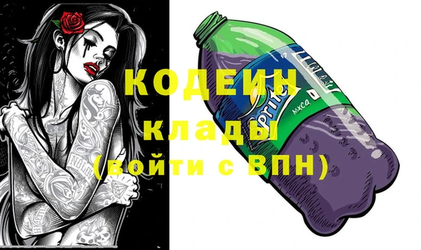 прущие грибы Ладушкин