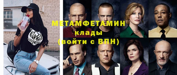 прущие грибы Ладушкин