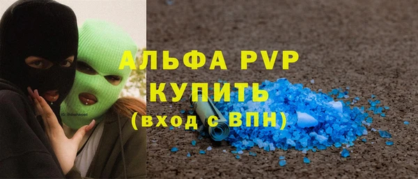 прущие грибы Ладушкин