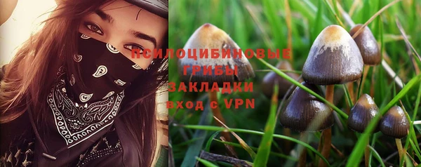 синтетический гашиш Лабытнанги