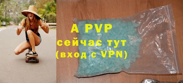 прущие грибы Ладушкин