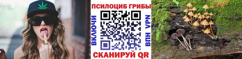 Псилоцибиновые грибы прущие грибы  Дубна 