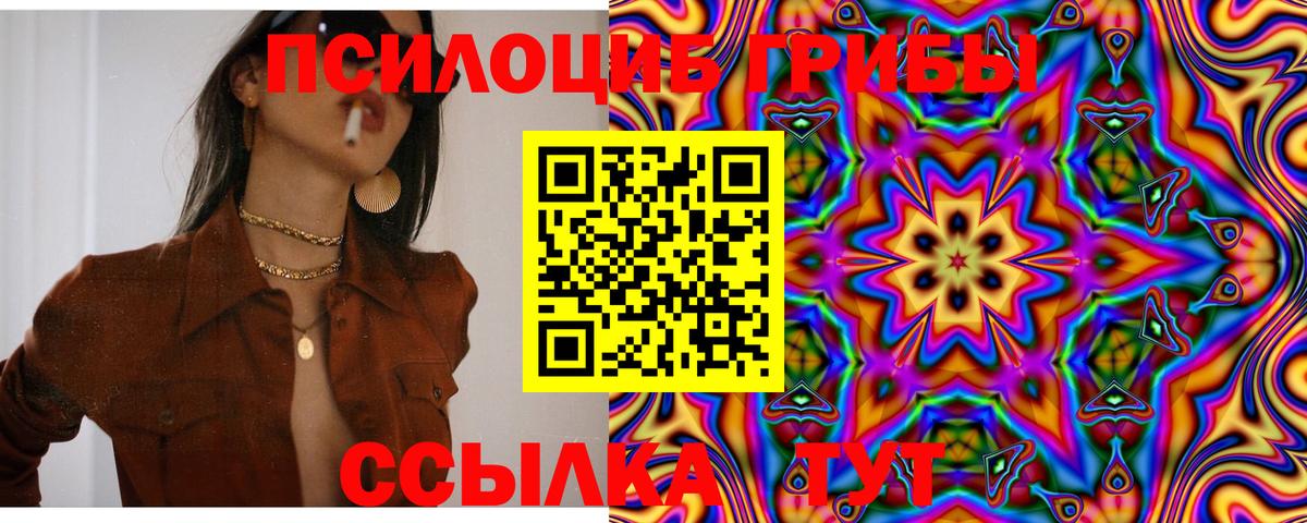 Галлюциногенные грибы GOLDEN TEACHER  Вход с VPN  Дубна 